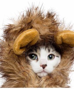 Pet Krewe Cat Lion Mane Halloween Costume – Fits Neck Size 8”-14 - Lion Costume for Small Cats and Kittens – Ideal for Halloween, Cat Birthday, Cat Cosplay, Cat Outfits, Pet Clothes One size fits all 26 81Y7lpwHcL