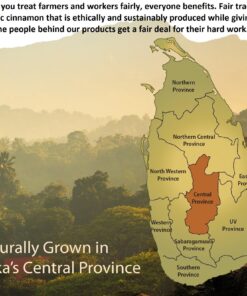 Organic Ceylon Cinnamon (100% Certified) Supplement, 90 Capsules by Ceylon Cinnamon Shop 11 81Y83Dht3SL