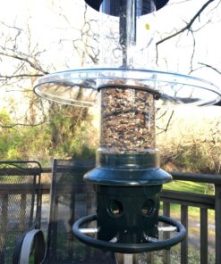 Weather Guard for Squirrel Buster Plus Bird Feeder (FEEDER NOT INCLUDED) 13" Diameter 39 81Y8z88moNL