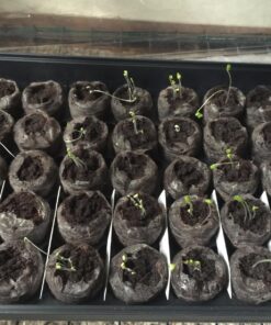 TeaDrops Organic All Purpose Plant Fertilizer – 16 Liquid Indoor House Plant Food Packets – Make up to 32 Gallons (Easy use in Watering Can & Containers, Ecofriendly) All Purpose Fertilizer 64 81YAjGy8nUL 1