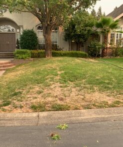 LawnLift 64 ounce Grass Paint factory 2nd with cosmetic blemishes on bottle, seal and label. May include dried paint or other unsightly blemishes on exterior of bottle. 41 81YHjybAMEL