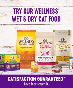 Wellness Kittles Crunchy Natural Grain Free Cat Treats, Salmon & Cranberry, 2-Ounce Bag 2 Ounce (Pack of 1) 29 81YHsiB0OIL