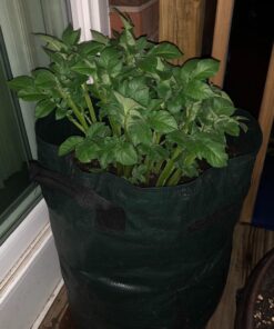 Upstreet Garden Grow Bags – 2 Pack Garden Bags to Grow Vegetables: Carrot, Tomato, Onion, Potato Planting Bags with Flap, Eco-Friendly, Heavy Duty Fabric Planting Pots 2 - Pack 28 81YIi6oHKjL