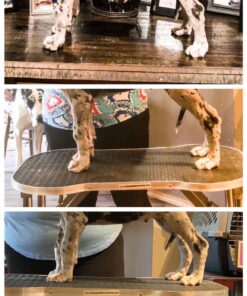 NUTRO NATURAL CHOICE Large Breed Adult Dry Dog Food, Chicken & Brown Rice Recipe Dog Kibble, 30 lb. Bag 30 Pound (Pack of 1) 38 81YJPYcj9xL 1