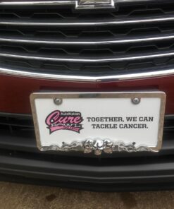 Custom Accessories 92812 Skull in Flames License Plate Frame 9 81YK6r2OXVL