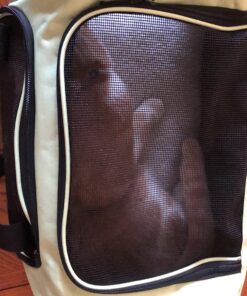 Henkelion Pet Carrier for Small Medium Cats Dogs Puppies up to 15 Lbs, Airline Approved Small Dog Carrier Soft Sided, Collapsible Travel Puppy Carrier - Green 17.0"L x 11.0"W x 11.0"H 33 81YKtK8c CL