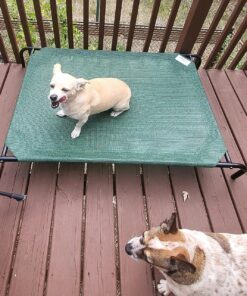 Coolaroo Gale Pacific The Original Cooling Elevated Dog Bed, Indoor and Outdoor, Large, Brunswick Green, 51.00" x 31.50" x 8.00" 51.0"L x 31.5"W x 8.0"Th 45 81YNwSAzSCL