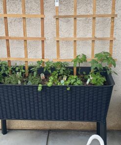 Keter Easy Grow 31.7 Gallon Raised Garden Bed with Self Watering Planter Box and Drainage Plug-Perfect for Growing Fresh Vegetables, Flowers and Herbs Graphite 36 81YQWEq3eOL