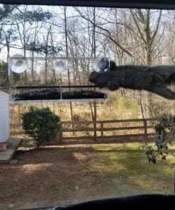 Window Bird Feeder with Strong Suction Cups, Clear Window Bird Feeders for Outside - Transparent Bird House, Balcony Glass Mount, Acrylic Cat, Kids & Elderly Viewing Clear Bird Feeder for Window Perch Large Ranch 41 81YQYO0gr3L