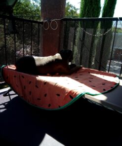 Coleman Trailhead II Camping Cot, Easy-to-Assemble Folding Cot Supports Campers up to 6ft 2in or 300lbs, Great for Camping, Lounging, & Elevated Sleeping Military Camping Cot 35 81YSQtfMOYL 1