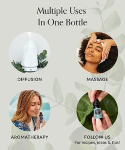 Edens Garden Relaxation Essential Oil Synergy Blend, 100% Pure Therapeutic Grade (Undiluted Natural/Homeopathic Aromatherapy Scented Essential Oil Blends) 10 ml 10 ml (.33 fl oz) 18 81YV3 7F6pL 4