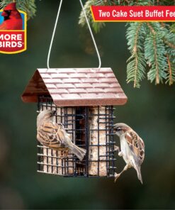 More Birds Double Suet Cage Bird Feeder with Metal Roof, Fruit and Suet Feeder, 2 Suet Cake Capacity Brown Double Cage 25 81YYXmOKQyL