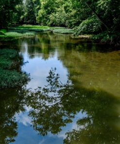 Nikon D4 16.2 MP CMOS FX Digital SLR with Full 1080p HD Video (Body Only) (OLD MODEL) 42 81YdB3qVHqL