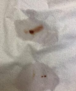 SafeRest Mattress Protector - Full Size Cotton Terry Waterproof Mattress Protector, Breathable Fitted Mattress Cover with Stretchable Pockets 48 81YdnjjOuOL