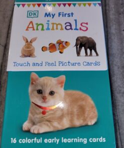 My First Touch and Feel Picture Cards: Animals (My First Board Books) 54 81YeqCXRiDL