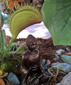 Top Collection Mini Shakyamuni Buddha Decorative Statue - Hand Painted Enlightened One Sculpture with Bronze Finish Look- 3-Inch Supreme Buddha Collectible Figurine 37 81YlaNvSqUL