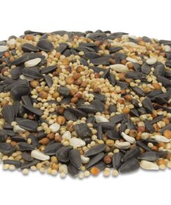 Morning Song 11353 Deluxe Wild Bird Food, 40-Pound 40 lb 3 81YltaBZrL