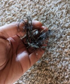 FURemover Original Indoor Pet Hair Rubber Broom with Carpet Rake and Squeegee, Black and Yellow FURemover Original Indoor Broom 51 81Ym0ATD0DL