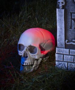 Prextex 6.5" Plastic Skull Head Halloween Decor | Realistic Life-Size Skeleton Skull Halloween & Day of The Dead Decoration | Scary Human Skull Replicas Skeleton Decor | Head Skulls Decor 24 81YnTF2mJyL 1