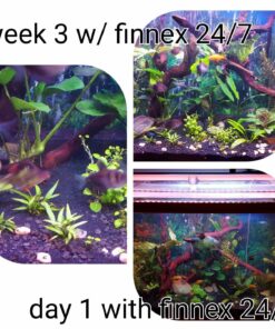 Finnex Planted 24/7 Fully Automated Aquarium LED, 36-Inch Not Controllable 36 Inch 36 81YqFjGh6L