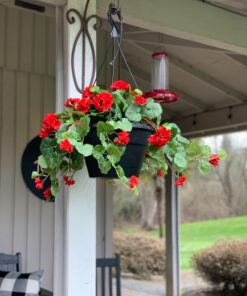 Nearly Natural 6609-RD 24in. Geranium Hanging Basket Silk Plant,Red,10.25" x 10.25" x 17.5" Red 23 81Ys8 UtVSL