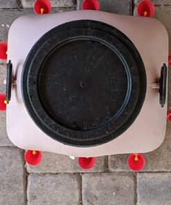 MOTOKU Poultry Quail Chicken Hen Duck Automatic Water Drinking Cups Waterer Drinker with Nuts 30 Pack 19 81YsefwZKgL