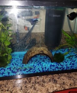 SunGrow Coconut Aquarium Shrimp Cave, Small Fish Tank Aquarium Decorations Accessories, Comfortable Shelter and Breeding Area for Crustaceans, Fish Hideout Aquarium Décor for Spawning 28 81YyX972ajL