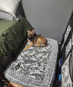 WNPETHOME Dog Beds for Extra Large Dogs, Washable, Bolster Sofa Bed with Waterproof Lining & Non-Skid Bottom, Orthopedic Egg Foam Couch for Pet Sleeping, Pet Bed 42.0"L x 30.0"W x 7.0"Th Grey 33 81Z3tmQylnL