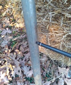 TIGER ARCHERY 30Inch Carbon Arrow Practice Hunting Arrows with Removable Tips for Compound & Recurve Bow(Pack of 12) Orange White 24 81Z8ybFoIwL