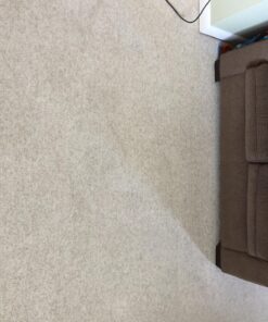 Nature's Miracle Carpet Shampoo, Deep-Cleaning Stain and Odor Remover 64 Ounce Original 64 Fl Oz (Pack of 1) 53 81Z9fR8k8SL