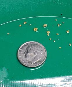 Nugget Reserve Gold Paydirt Clunker Panning Pay Dirt Bag – Gold Prospecting Concentrate 29 81ZCsF6DsKL