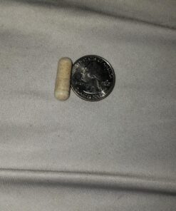 Nature's Way Fenugreek Seed, Traditional Lactation/Breastfeeding Support*, 1,130 mg, 180 Vegan Capsules 180 Count (Pack of 1) 43 81ZDP97acdL