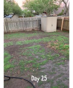 Scotts Turf Builder Grass Seed Bermudagrass, Mix for Full Sun, Built to Stand Up to Heat & Drought, 5 lbs. 5 lb. 77 81ZEKMLEsRL