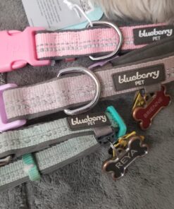 Blueberry Pet Soft & Safe 3M Reflective Neoprene Padded Adjustable Dog Collar - Baby Blue Pastel Color, Medium, Neck 14.5"-20" 67 81ZF0Dgk9 L 1