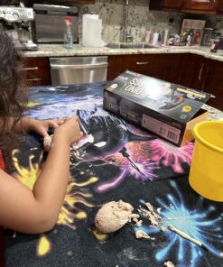 Dig a Dozen Dino Egg Dig Kit for Kids - Dinosaur Toys Gift 3-12 Year Old - 12 Eggs & Surprise Dinosaurs - Science STEM Activities - Educational Boy Toy Party Gifts for Boys & Girls Ages 3-5 4-7 5-7+ 60 81ZNosCoD2L