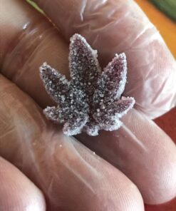 PJ BOLD Marijuana Weed Leaf Gummy Molds Silicone Candy Mold Kit - 3 Pack Dropper 38 81ZPUwDsA1L