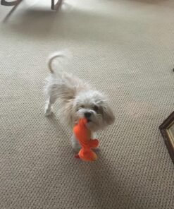 SPOT Ethical Plush Chirpies Assorted Birds 14-Inch Dog Toy 17 81ZS tgPfL