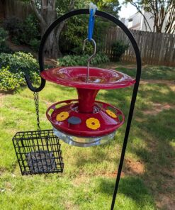 Roamwild Hanging Hummingbird Feeder for Outdoors with Double Moat Guard Technology | 5 Feeding Stations with Quick Easy Filling Port | 20 fl oz Nectar Large Capacity - Purple Petals (Yellow) Yellow 30 81ZSvj1OufL