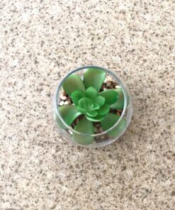 MyGift Assorted Artificial Succulent Fake Plant in Small Clear Glass Display Vases, Set of 4 37 81ZVuFmVCNL