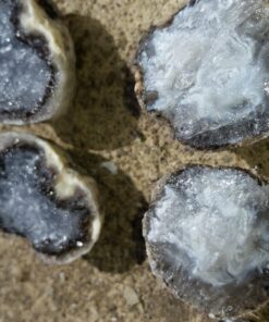 Break Your Own Geodes - Set of 12 - STEM Toy and Classroom Learning 44 81ZX8fFgcL