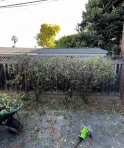 Greenworks 2.7 Amp 18" Corded Electric Hedge Trimmer 18" Corded Hedge Trimmer 23 81ZXg8ijkTL