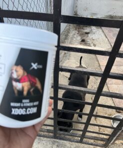 Muscle Bully Gains - Mass Weight Gainer for Dogs, Whey Protein, Flax Seed (for Bull Breeds, Pit Bulls, Bullies) Increase Healthy Natural Weight, Made in The USA (90 Servings) 90 Servings 36 81ZXuIvgYtL