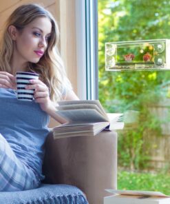 Wild Birds of Joy Window Bird Feeder with 4 Super Strong Suction Cups & Sliding Seed Tray, Large, Clear Acrylic, Easy Clean, Outdoor Bird Feeders, Outside View Up Close of Finch, Cardinal and Blue Jay 34 81ZYEJsaQsL