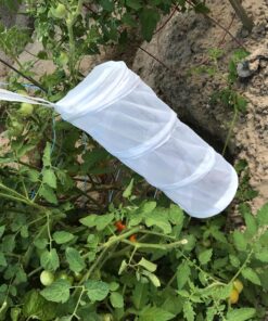 Praying Mantis (5) Egg Cases with Habitat Cup- 5 Egg Cases & 1,500 Live Ladybugs 48 81ZZ4GxMNQL 2