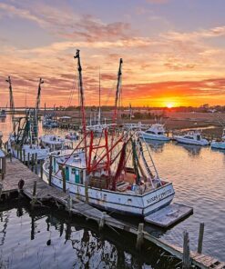 Tamron AFA012N700 SP 15-30mm f/2.8 Di VC USD Wide-Angle Lens for Nikon F(FX) Cameras Black 54 81ZbMTiWSRL