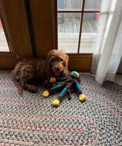 Milk-Bone Soft & Chewy Dog Treats, Beef & Filet Mignon Recipe, 25 Ounce Original 25 Ounce (Pack of 1) 47 81ZejOOoNcL