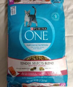 Purina ONE Natural Dry Cat Food, Tender Selects Blend With Real Salmon - 16 lb. Bag 16.00 Pound (Pack of 1) 47 81Zi7SMLvxL