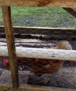 25 Automatic Chicken Water Nipple Drinker Feeders Poultry Hen Screw Style 30 81ZpYDvMRmL