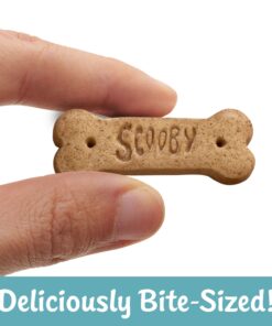 Kellogg's SCOOBY-DOO! Baked Graham Cracker Snacks, Lunch Snacks, Snack Crackers, Cinnamon (40 Pouches) 17 81ZrHTtpoBL