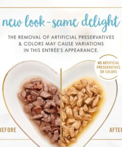 Alternative view of Purina Fancy Feast Gravy Lovers Salmon and Sole Feast Gourmet Cat Food in Wet Cat Food Gravy - 3 oz. Can Salmon & Sole 3.00 Ounce (Pack of 24)